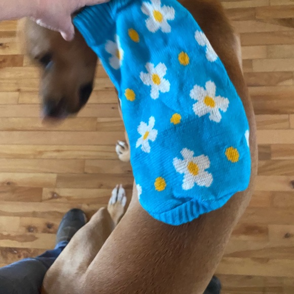 Two dog sweaters.  Brand new - Picture 8 of 8